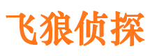 汶上市调查公司